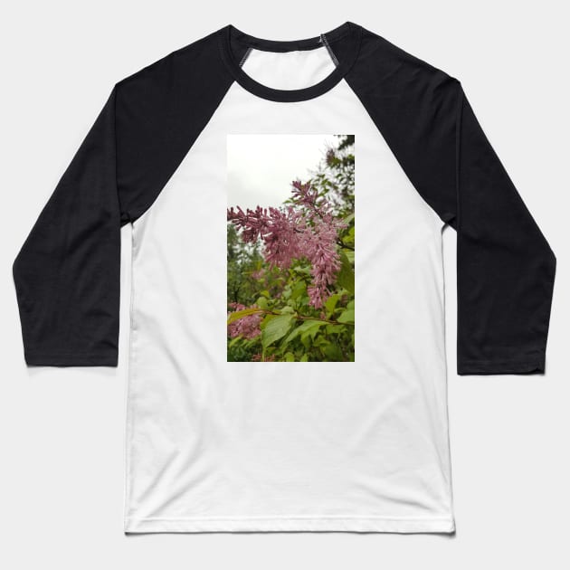 Lilacs in the Rain Baseball T-Shirt by MirandaMarcy